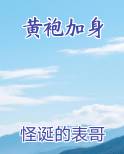 黄袍加身