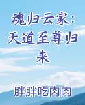 魂归云家：天道至尊归来