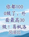 你都1000级了，外面最高30级！易枫洛兰雪