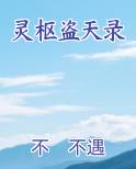 灵枢盗天录