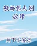傲娇狐夫别放肆