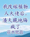我改嫁植物人大佬后，渣夫跪地悔疯了