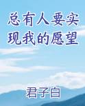 总有人要实现我的愿望
