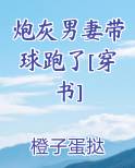 炮灰男妻带球跑了[穿书]