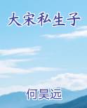 大宋私生子