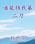谁能挡我第二刀