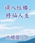 误入红楼，修仙人生